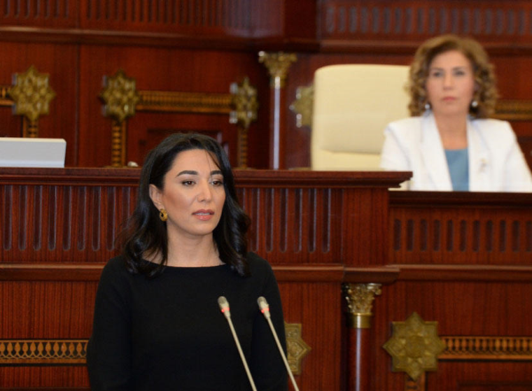 Azərbaycanda yeni Ombudsman seçildi